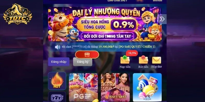 Giải nghĩa chi tiết thuật ngữ TDTC là gì