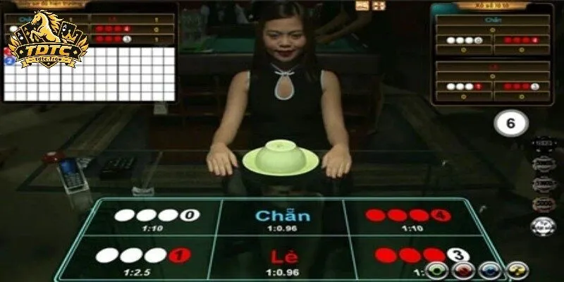 Người mới cần đọc kỹ từng cửa cược